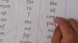 Sight Words Review